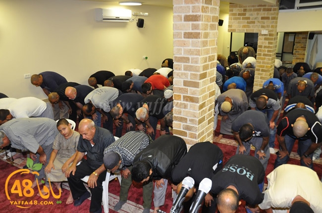 mohamed el fateh3 (4).JPG